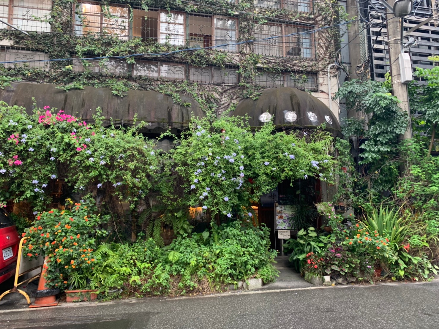 花蓮。花草空間咖啡廳，素食餐廳推薦，台版巴黎花草咖啡廳，還蘊藏大量袖珍黏土作品(文末菜單